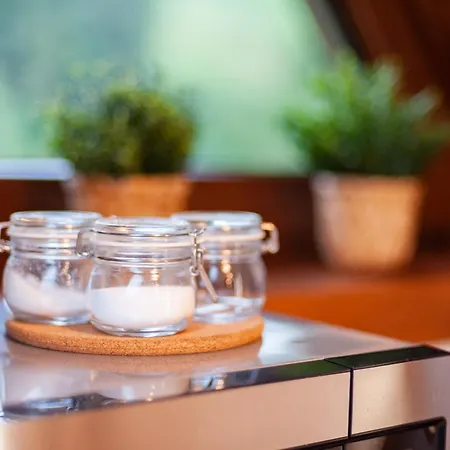 U Czernikow ホームステイ ポロニン