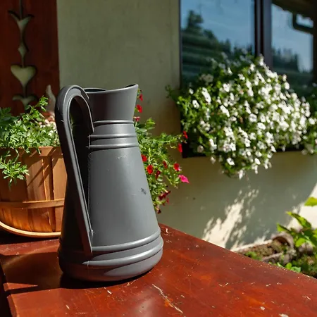 U Czernikow ホームステイ ポロニン