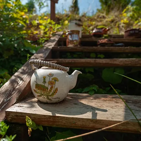 ホームステイ U Czernikow *